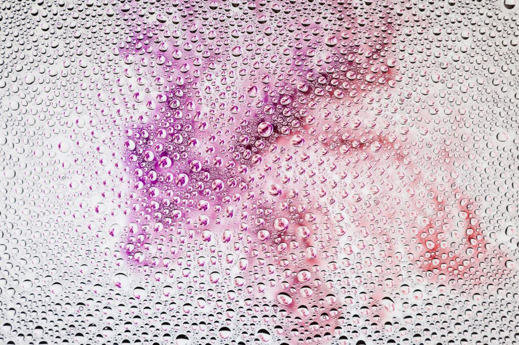 How to Repair Scratches and Bubbles in Window Tint US Auto Repair