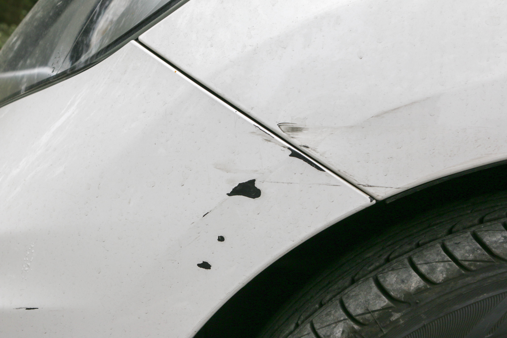 Car Paint Damage